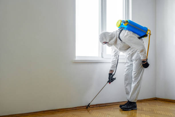 Best Insect Control  in Larkfield Wikiup, CA