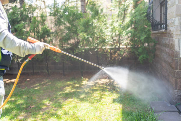 Best Flea Control Services  in Larkfield Wikiup, CA