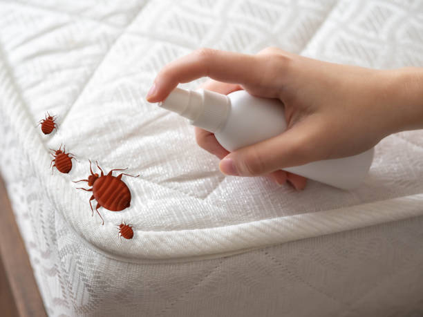 Best Pest Prevention Services  in Larkfield Wikiup, CA
