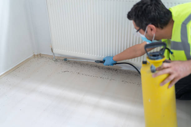 Best Best Pest Control Companies  in Larkfield Wikiup, CA