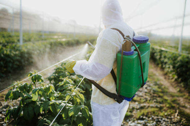 Best Spider Control Near Me  in Larkfield Wikiup, CA